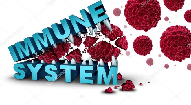 Gut Immune system concept