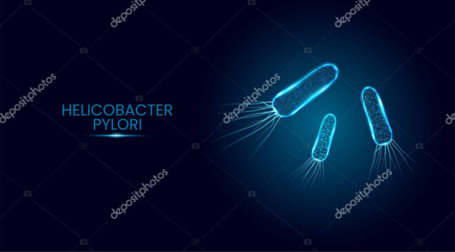 H. pylori is a Gram negative bacteria with flagella